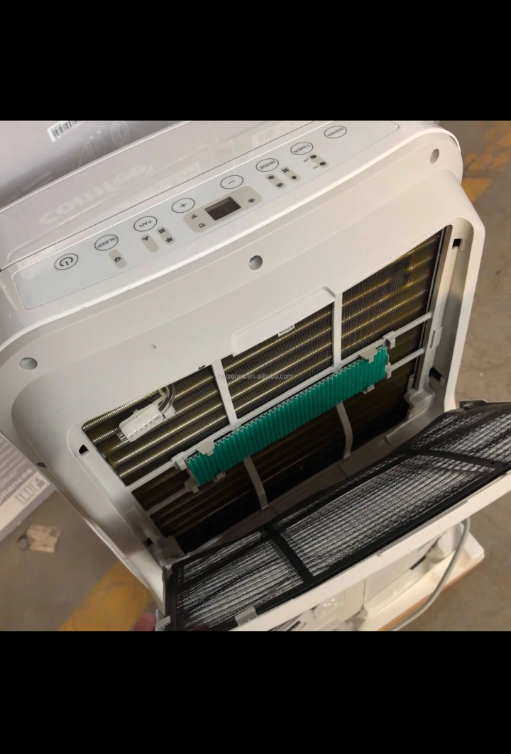 Climatiseur mobile domestique 10 000 btu